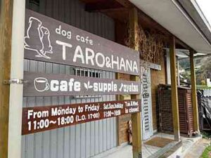 ドッグカフェtaro Hana Kt Quest 福岡