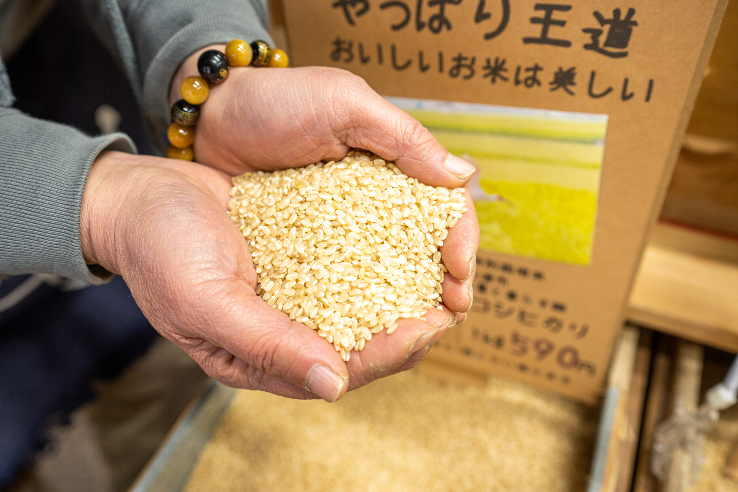 毎日食べるお米を美味しく！『梶谷米穀店』 - KTQUEST｜福岡・北九州の